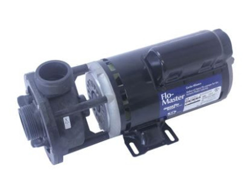 Gecko Alliance Pump 1.0HP 2-Speed 115V 48 Frame Flo-Master FMCP | 02610000-1010