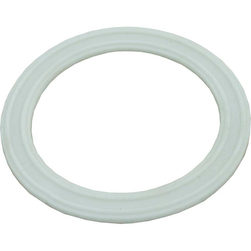 Waterway Plastics Light Lens Gasket | 711-4350