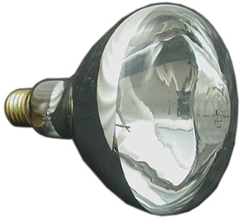 614501 Pac-Fab Bulb, 12V 100W