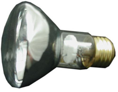 PENTAIR/AMERICAN PRODUCTS BULB, FLOODLAMP 100W-12V (SPABRIGHT) | 79108100