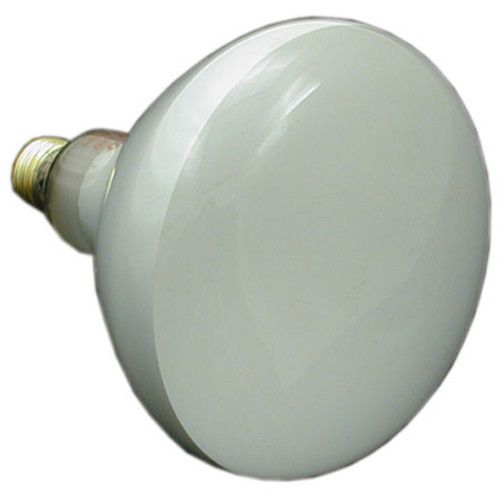 Pentair/American Products Bulb, Flood 500W 120V | 79102100