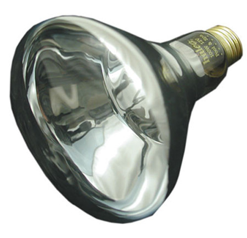Purex Chd/Pool Star Light Bulb 12V 100W | 70513