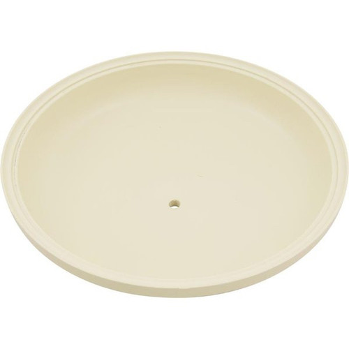 Pentair 170019 Tank Lid 24 Sq Ft