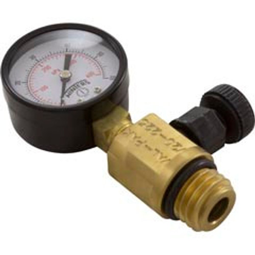 Waterway Heavy Duty Pressure Gauge/Air Relief Assembly For Pentair Filters | V20-225