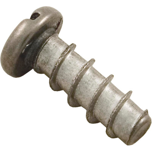 Hayward Cover Screw | SPX1411-Z-3