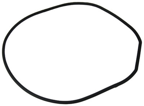 Waterway Faceplate Gasket | 711-4290