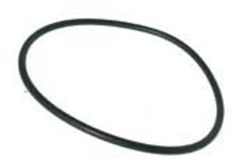 Baptistry Heaters Inline Filter Lid O-Ring | 3270-3293