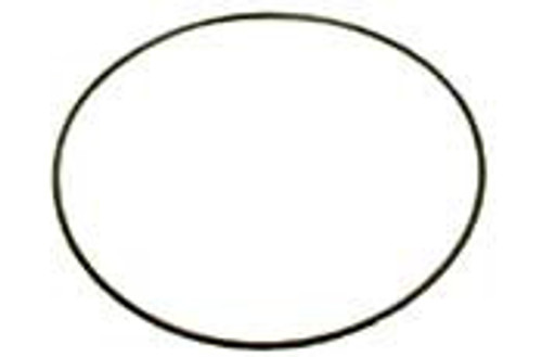 Pentair Oring, Seal Plate | 352626