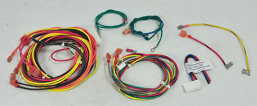 Raypak Wire Harness, Iid | 009490F