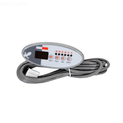 Gecko Alliance S-Class Electronic Spa Control | TSC-9