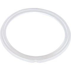 Waterway Plastics Gasket, O-Ring, Waterway Mini Storm | 711-6910