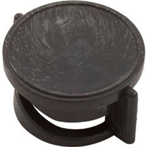 Waterway Plastics 662-2140 Plunger, Waterway, 1", Air Control