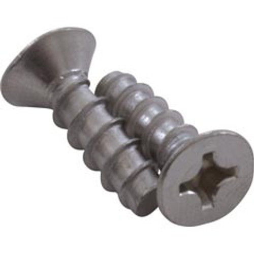 Hayward Screw, Hayward WG1048AV Grate, Quantity 2 | SPX1411Z5A