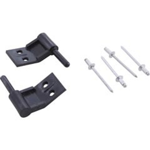 Pentair Power Center Hinge Pins, Pentair Compool, Quantity of 2 | LXPIN