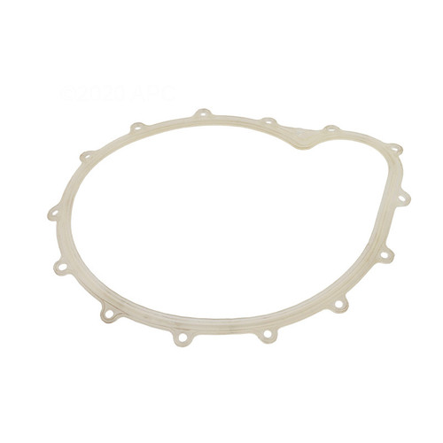 Waterway Plastics Faceplate Gasket, Big Red Pump | 711-2610