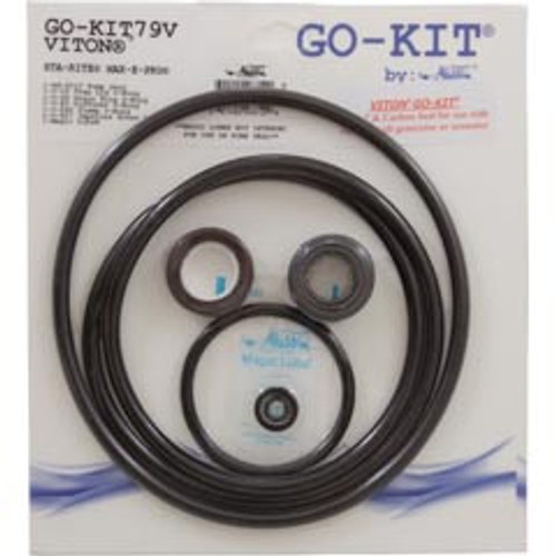 Aladdin Equipment Co Go-Kit 79V, Max-E-Pro, Viton | GO-KIT 79V