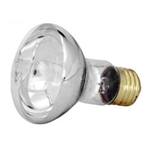 Generic Generic Replacement Bulb Flood | 100R20/S-12