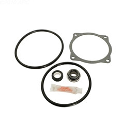 Generic Sta-Rite CF CFA and CF6 Series Repair Kit | APCK1020