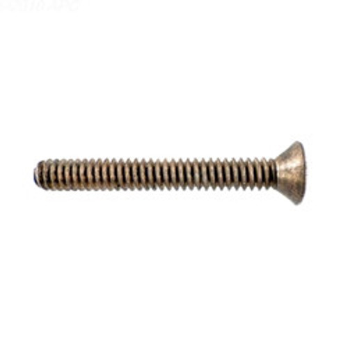 Pentair Screw | 630022