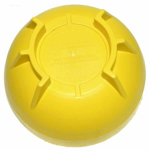 Zodiac Pool Equipment W15240 Cap