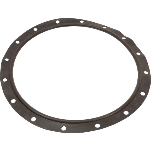 AstralPool Lid Gasket Astral | 7234140120