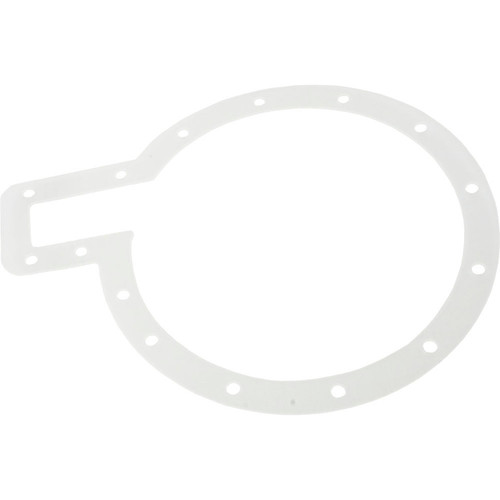 Pentair G-29 Gasket For G28A