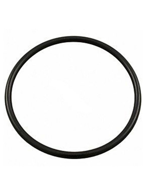 Hayward O-Ring, End Connector | SPX0728H