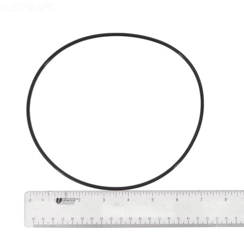 Waterway Plastics O-Ring Faceplate Executive Pump | 805-0261B Waterway Plastics O-Ring Faceplate Executive Pump | 805-0261B