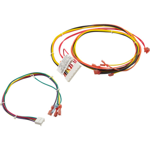 Raypak Wire Harness, 156A, Digital | 014885F