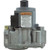 Pentair/Purex 460760 Gas Valve, Pentair Minimax NT, Nat.