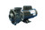 Waterway Pump 3.0HP 230V 2-Speed 48 Frame 60Hz 2" Executive | 3421221-1A