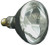 PENTAIR/AMERICAN PRODUCTS | BULB, FLOOD 300W 12V | 79101900