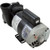 Waterway Complete Spa Pumps, 56 Frame, 2 1/2" Suction | 3721221-13