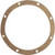 Pentair C20-46 Gasket, Adapter