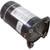 Carvin/Jacuzzi® 9010-6915R Motor, Carvin Cygnet, 0.75hp, 115/230v, 1-Spd, 10A/5A