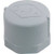 Lasco Fittings 448-010 Cap, Lasco, 1" Female Pipe Thread