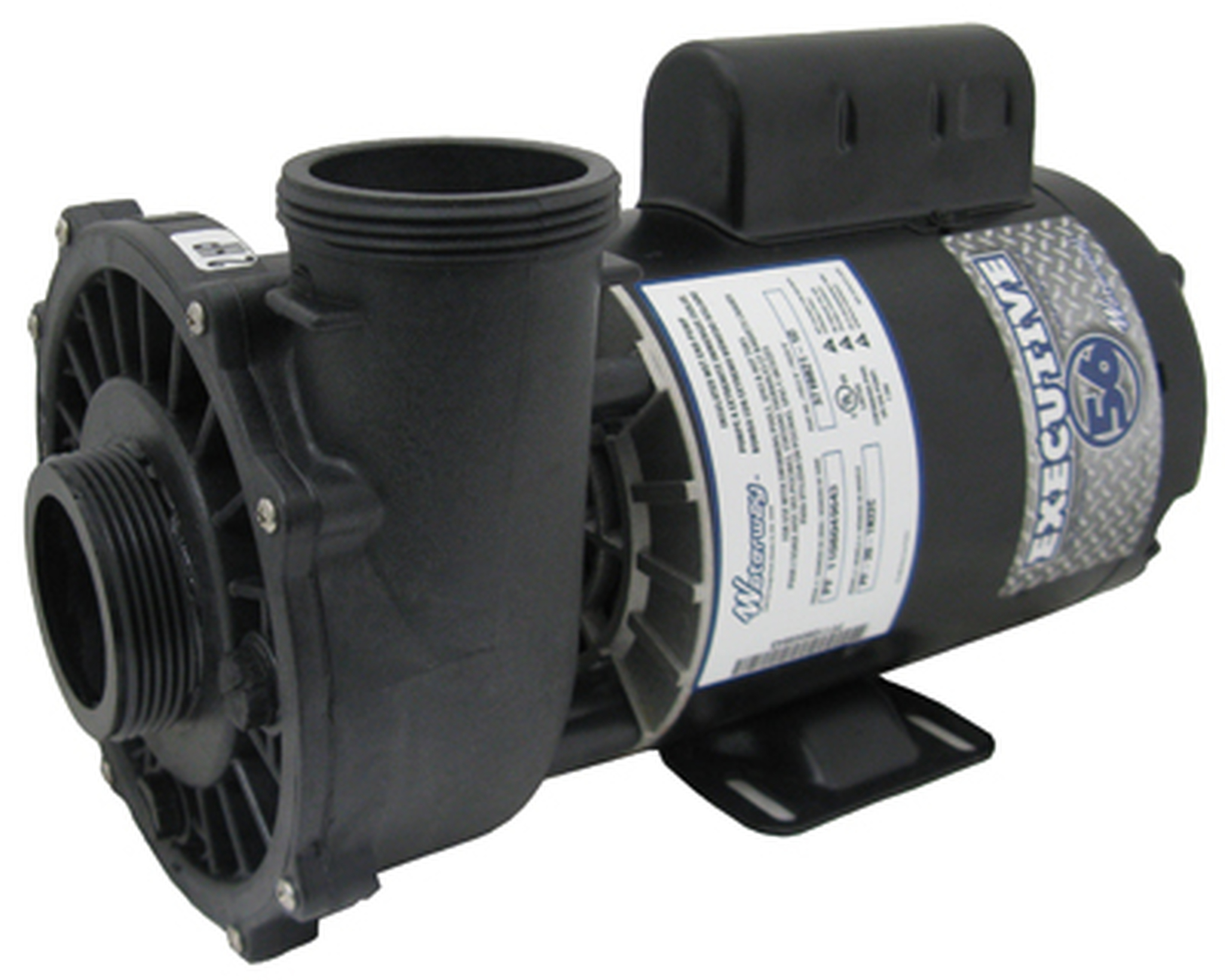 Waterway Pool Pump Manual