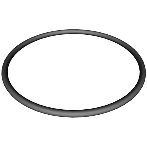 Hayward Super II Strainer Cover Oring | SPX3000S