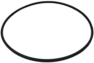 Hayward Metal Reinforced Filter Seal | DEX2422Z2