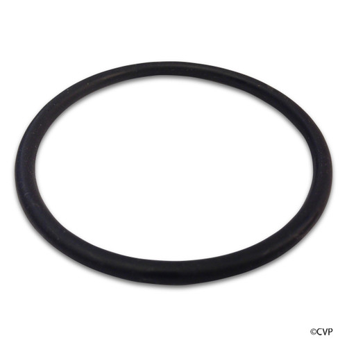 Hayward Pro-Series Plus Pro-Series Side Mount S200 Series Oring | SX200Z5