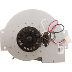 Hayward Combustion Blower 120Vac | IDXLBWR1931