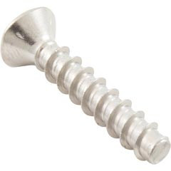 Hayward Av Screw 2Pk | SPX1030Z1A