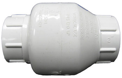 Flo Control 2" Swing Check Valve Sxs | 1520-20