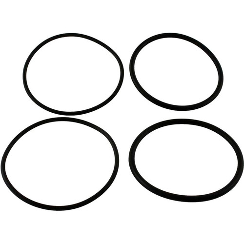 Raypak Rheem Oring Kit For 2" Connector | 006724F