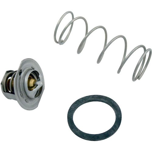 Raypak Unitherm Governor Versa For Rp2100 | 062234B
