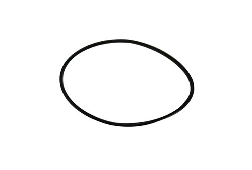 Waterway Pump Oring Volute Suction Cover | 805-0252