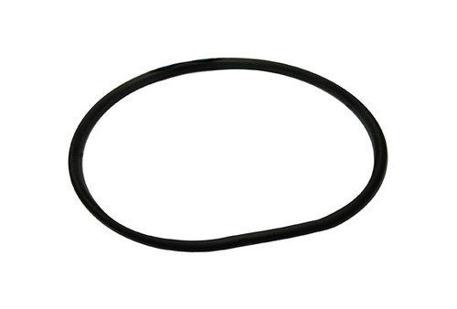 Waterway Pump Oring Volute 6" Trap | 805-0436