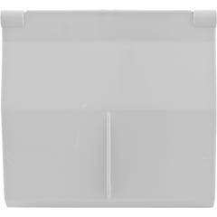 Waterway Front Access Weir Door W/ Foam White | 542-3060