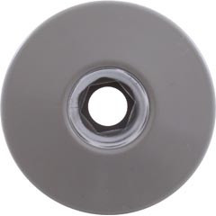 Waterway Ozone Jet Part Cluster Internal Large Face Gray | 215-9847