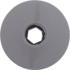 Waterway Plastics Ozone/Cluster Internal Gray | 215-9867